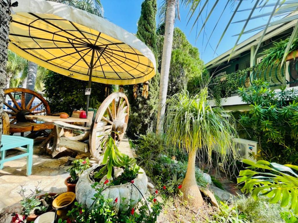 Out Of Africa Resort Had Nes Eksteriør bilde